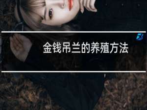 金钱吊兰的养殖方法