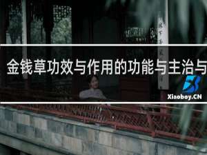 金钱草功效与作用的功能与主治与用量