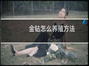 金钻怎么养殖方法