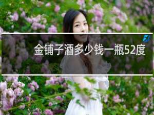 金铺子酒多少钱一瓶52度
