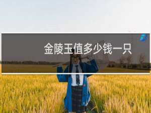 金陵玉值多少钱一只