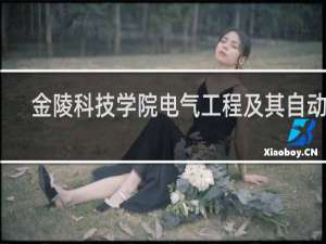 金陵科技学院电气工程及其自动化