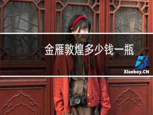 金雁敦煌多少钱一瓶