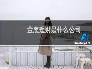 金鹿理财是什么公司