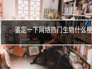鉴定一下网络热门生物什么梗