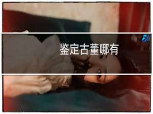 鉴定古董哪有