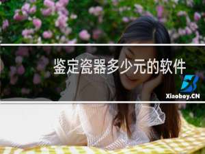 鉴定瓷器多少元的软件