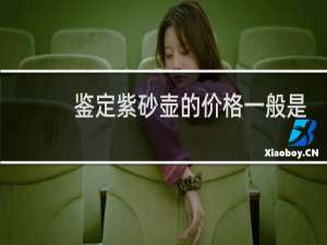 鉴定紫砂壶的价格一般是多少