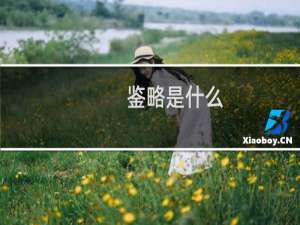鉴略是什么