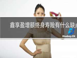 鑫享盈增额终身寿险有什么缺点