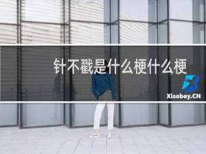针不戳是什么梗什么梗