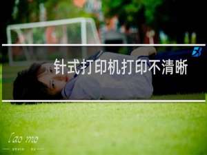 针式打印机打印不清晰是什么原因（如何解决针式打印机出现打印不清晰的问题）