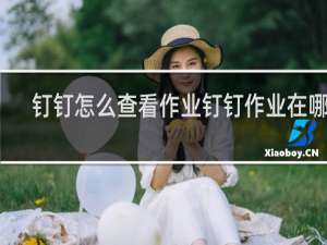 钉钉怎么查看作业钉钉作业在哪看