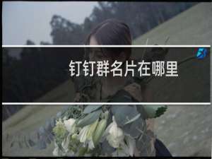 钉钉群名片在哪里