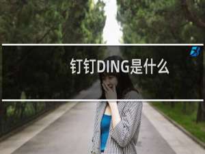 钉钉DING是什么,怎么使用