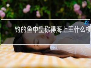 钓的鱼中皇称得海上王什么梗