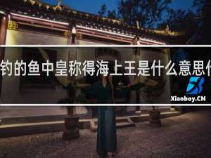 钓的鱼中皇称得海上王是什么意思什么梗