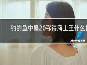 钓的鱼中皇 称得海上王什么梗