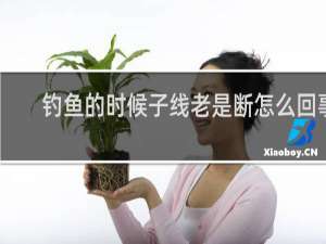 钓鱼的时候子线老是断怎么回事