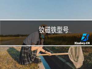 钕磁铁型号