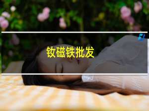 钕磁铁批发