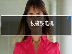 钕磁铁电机