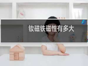 钕磁铁磁性有多大