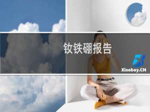 钕铁硼报告