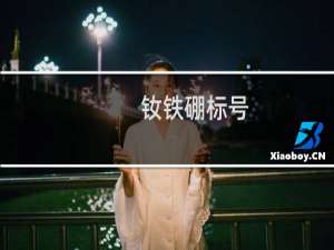 钕铁硼标号