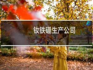 钕铁硼生产公司