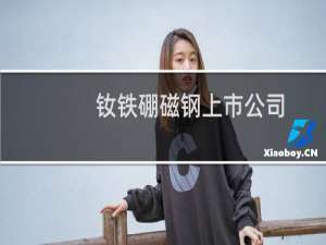 钕铁硼磁钢上市公司