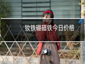 钕铁硼磁铁今日价格