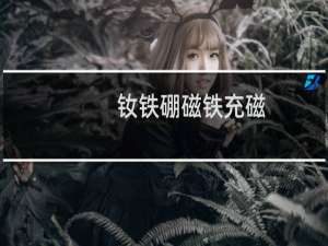 钕铁硼磁铁充磁