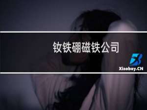 钕铁硼磁铁公司