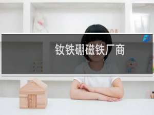 钕铁硼磁铁厂商