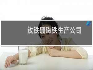 钕铁硼磁铁生产公司