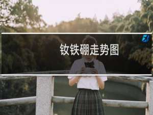 钕铁硼走势图