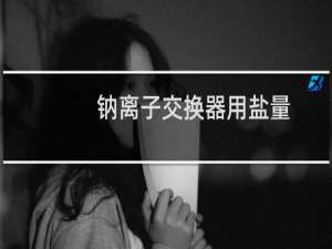 钠离子交换器用盐量