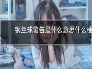 钢丝球警告是什么意思什么梗