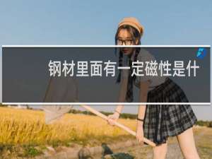钢材里面有一定磁性是什么钢