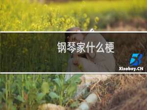 钢琴家什么梗