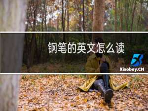 钢笔的英文怎么读