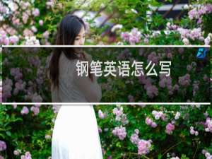 钢笔英语怎么写