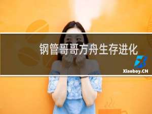 钢管哥哥方舟生存进化
