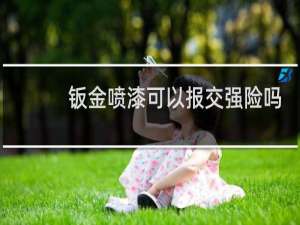 钣金喷漆可以报交强险吗