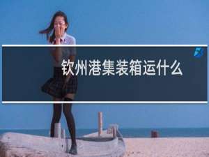 钦州港集装箱运什么