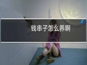 钱串子怎么养啊