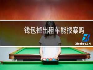 钱包掉出租车能报案吗