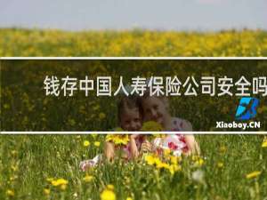 钱存中国人寿保险公司安全吗
