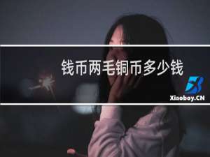 钱币两毛铜币多少钱